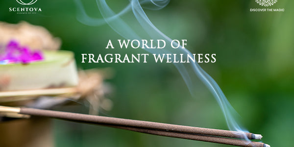 Ancient Remedies for Modern Living Health Benefits of Incense Sticks